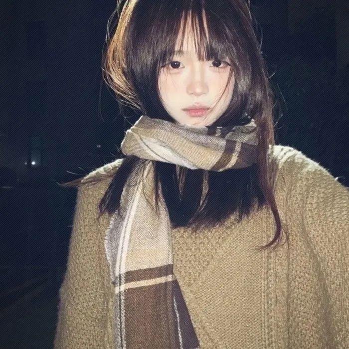 祇羡鸳鸯不羡仙 高清封面