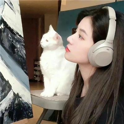 双生赤狐 高清封面